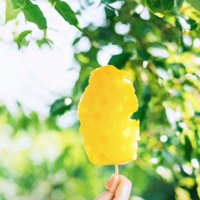 宝可梦大探险果盘游戏下载