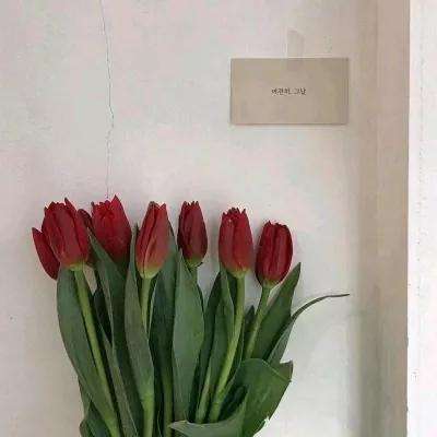 挂狂传奇内购破解版下载