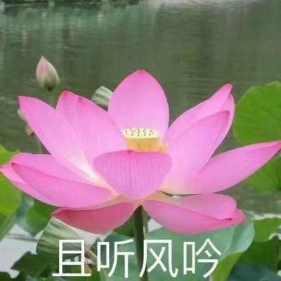 神奇三国红包游戏下载